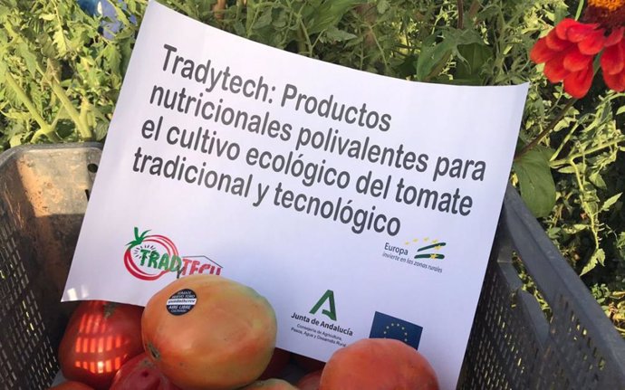 Iniciativa del Grupo Operativo Tradytech sobre desarrollo de productos para cultivo ecológico del tomate.
