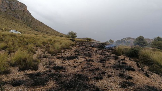 Sofocan un conato de incendio forestal en la Sierra del Buey, en Jumilla (Murcia)