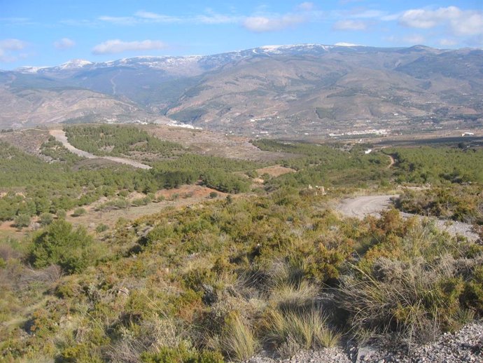 Archivo - Sierra de Gádor, en Almería