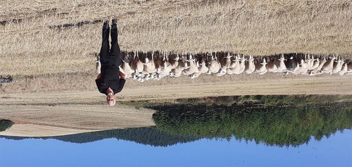 Osés junto al último rebaño de San Millán de la Cogolla