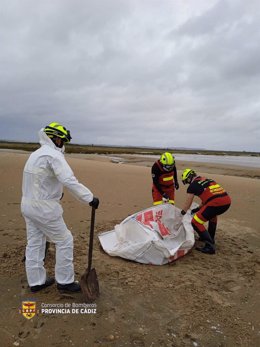 Imagen de la actuación de los bomberos para recuperar el cadáver de un perro en el río San Pedro (Cádiz).
