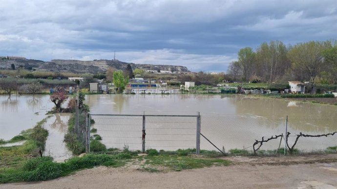 Uno de los huertos próximos al río en Zuera.