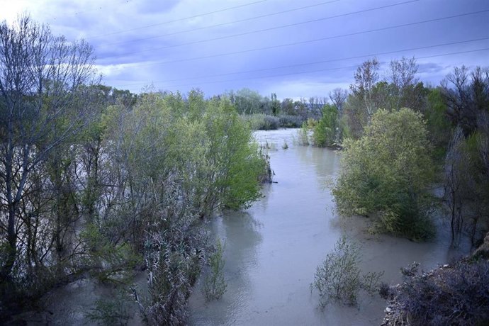 Crecida del río Gállego a su paso por Peñaflor. 