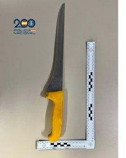 Imagen del cuchillo carnicero de 45 centímetros incautado a los detenidos