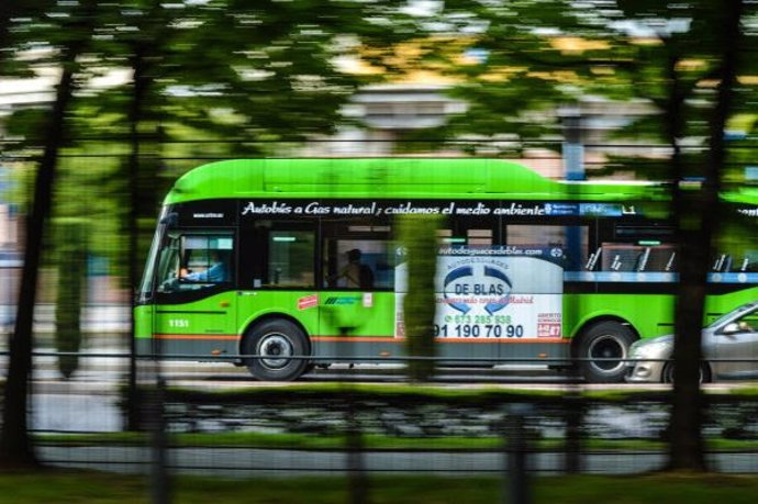 Plena Inclusión analizará la accesibilidad cognitiva de líneas de autobuses de nueve CC.AA.
