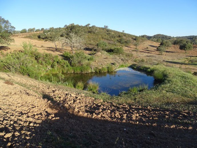 Manantial de las Adelfas en Villanueva de los Castillejos (Huelva).
