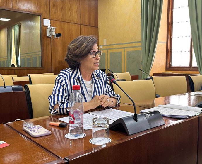 Archivo - La parlamentaria andaluza del PP, Lola Martín.