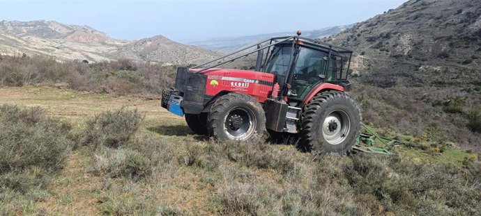 Actuación de desbroce