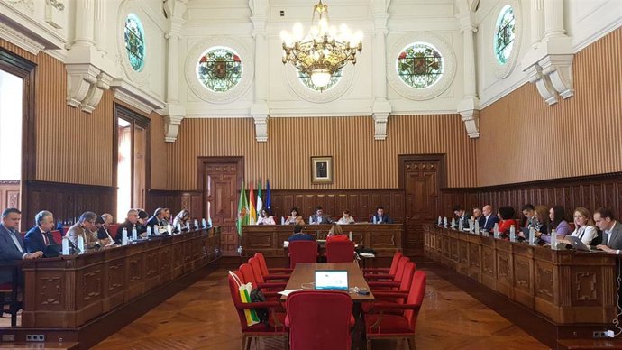Pleno ordinario de la Diputación de Jaén.
