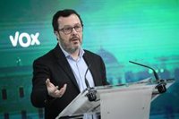 Vox denuncia que el Gobierno ha divulgado el balance de criminalidad en Semana Santa para que no tenga repercusión