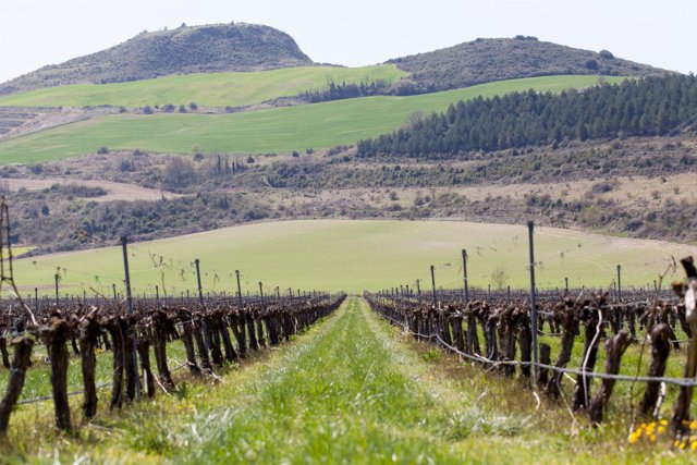 Bodegas Otazu