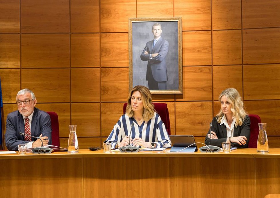 Pleno Extraordinario