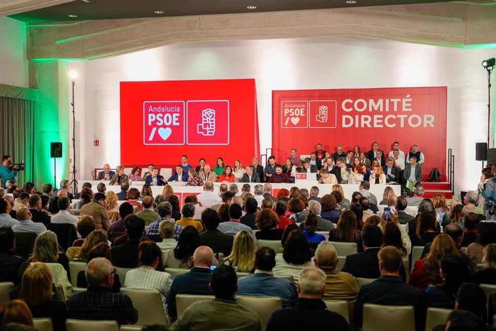 Archivo - El secretario general del PSOE de Andalucía, Juan Espadas, interviene ante el Comité Director del PSOE de Andalucía, a 26 de enero de 2024 en Sevilla. (Foto de archivo).