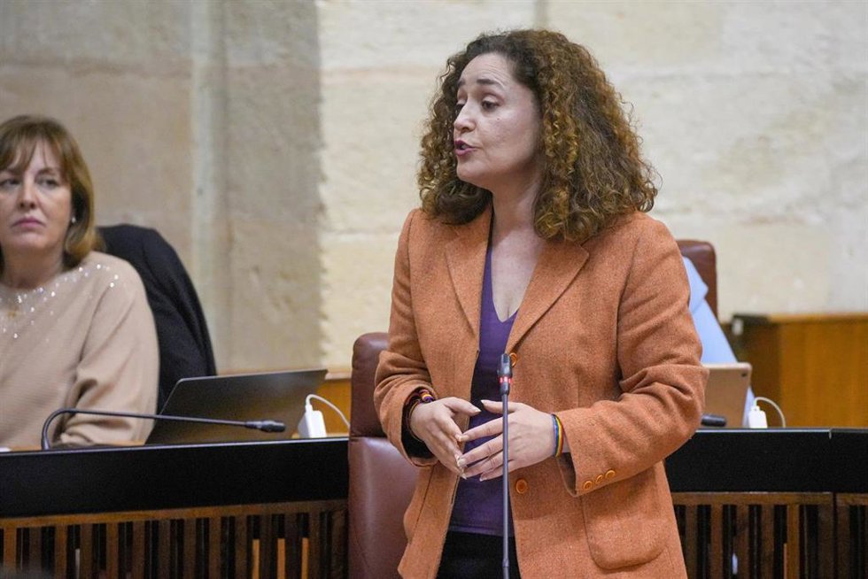 La portavoz del Grupo Por Andalucía, Inmaculada Nieto, en una foto de archivo en el Pleno del Parlamento.