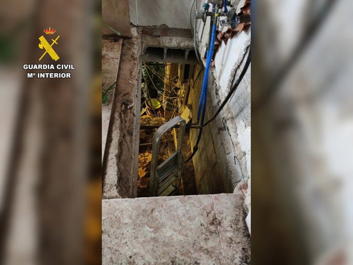 Desmantelada una plantación de marihuana oculta entre pasillos con paneles de madera en una casa en Pedreguer