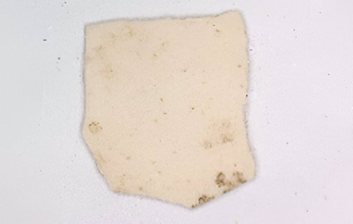 Un fragmento de cáscara de huevo del sitio de Bash Tepa, que representa una de las primeras pruebas de existencia de pollos en la Ruta de la Seda.