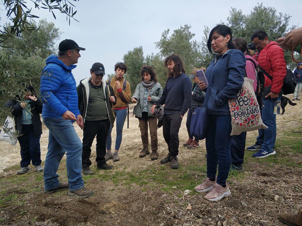 Visita a la finca de olivar ecológico.