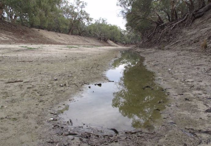 Sequía en la cuenca del Murray-Darling