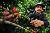 Foto: Economía.- Los agricultores de Colombia piden un mayor diálogo con el Gobierno para contribuir al desarrollo del sector