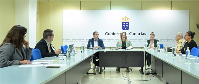 Reunción del pleno del Consejo de los Mayores de Canarias