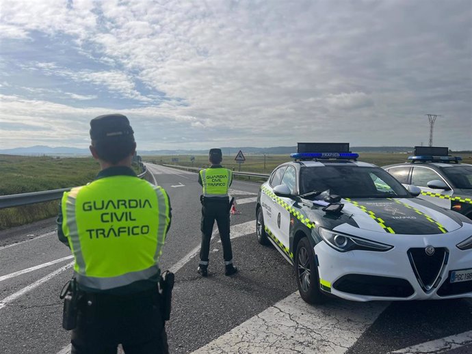 Guardias Civiles realizan un control en una carretera.