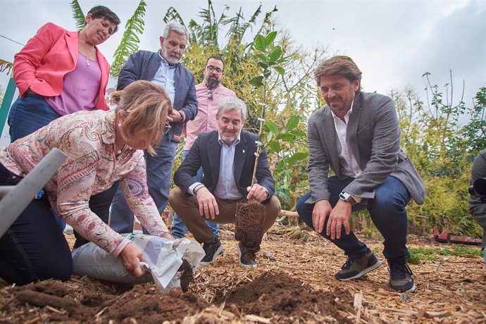 Los presidentes de Canarias, Asaga y Ashotel plantan un limonero y lo abonan con compost de biorresiduos hoteleros.