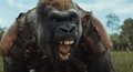 VÍDEO: Los humanos son brutalmente cazados en El reino del planeta de los simios