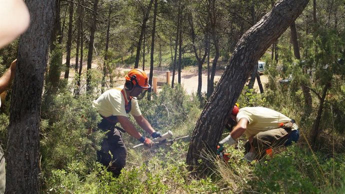 Archivo - Arxiu- Bombers forestals, en una imatge d'arxiu