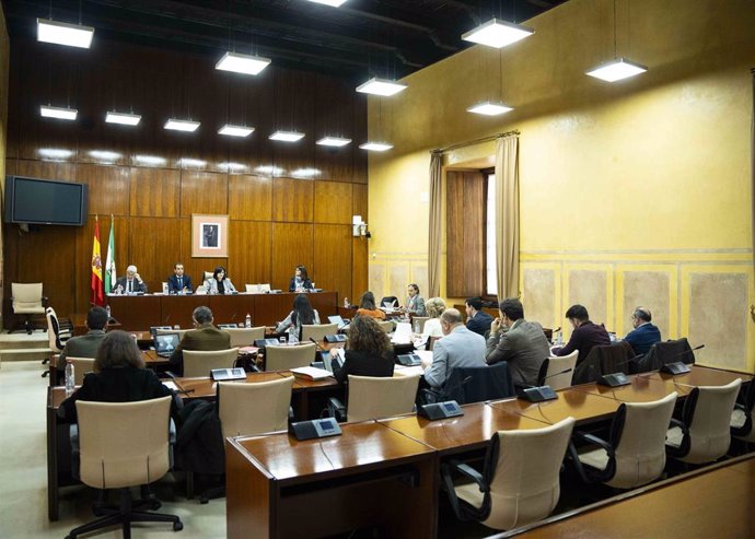 Imagen general de la Comisión de Control de la RTVA y de sus Sociedades Filiales del Parlamento andaluz.