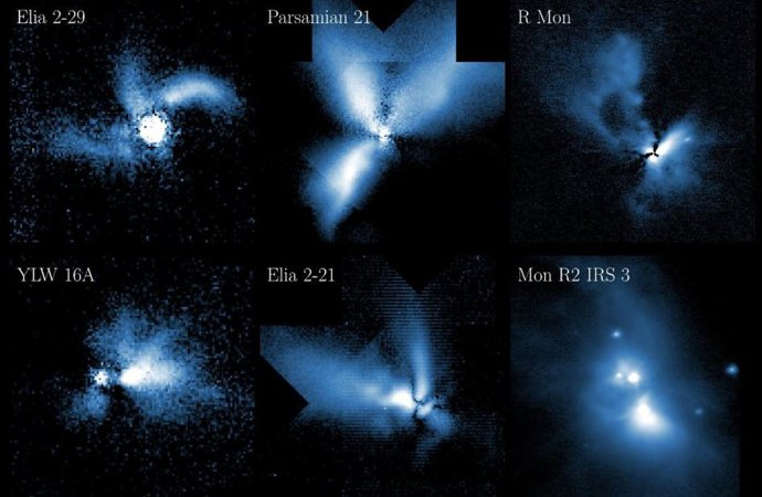 Abajo a la izquierda se muestran los dos capullos estelares