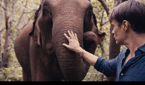 Comunicados Sociedad