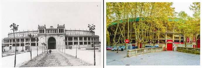 Pamplona cuenta con 120.000 árboles de 470 especies en su término municipal, 29.385 situados en pavimento