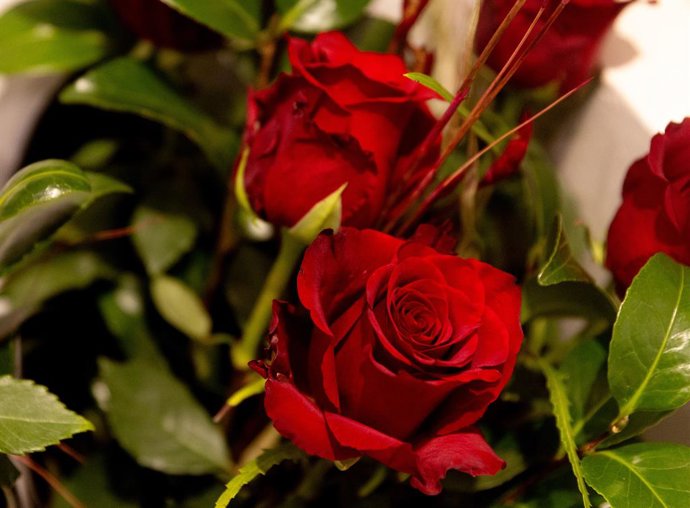 Archivo - Rosas rojas, en una floristería a 14 de febrero de 2024, en Madrid (España). 