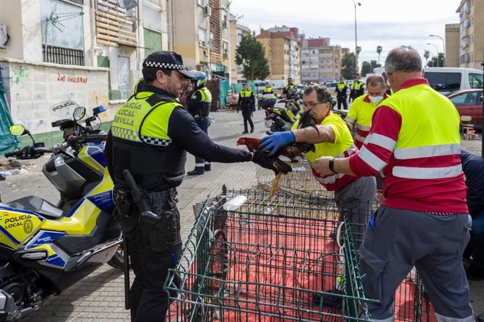 Imagen de la intervención en el Polígono Sur