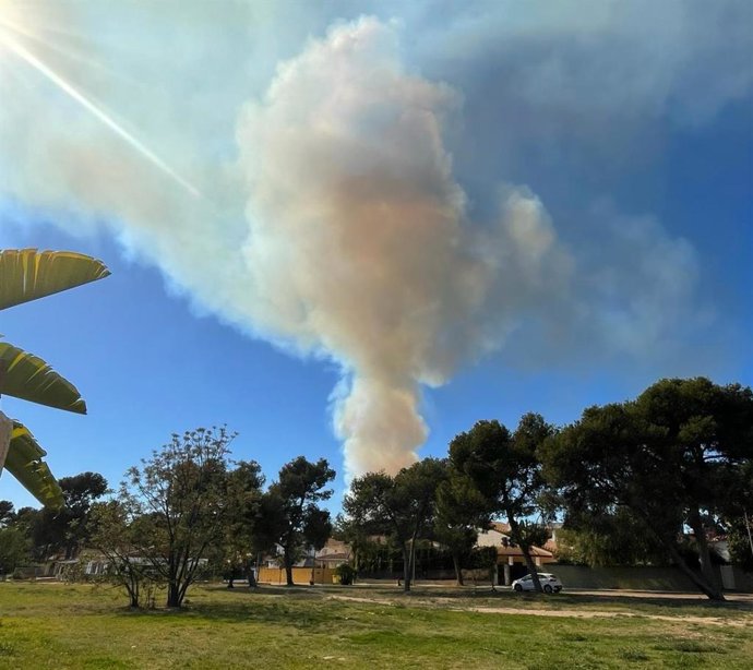 Incendi al Parc Natural del Turia a Vilamarxant