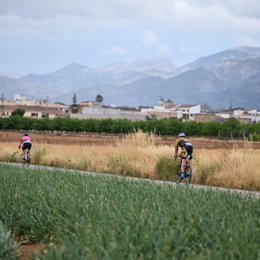 Ruta en bicicleta del Ironman en Alcudia