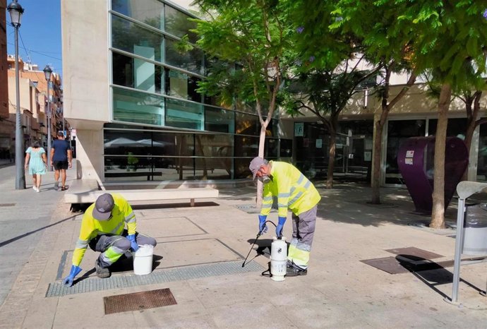 Imagen de archivo de trabajadores de limpieza de Sant Vicent del Raspeig (Alicante).