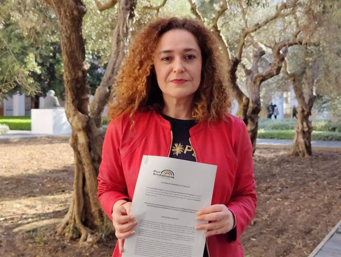 La portavoz parlamentaria del grupo Por Andalucía, Inma Nieto, presenta una iniciativa para reformar la Ley de Incompatibilidades de altos cargos de la Administración andaluza.