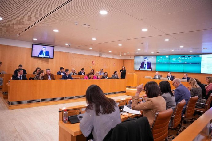 Imagen del pleno de la Diputación de este jueves