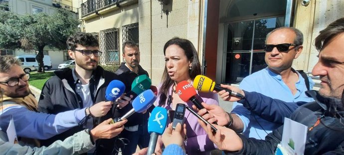 La consejera de Salud y Servicios Sociales, Sara García Espada, atiende a los medios en Badajoz