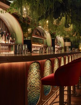 Amazónico en Montecarlo