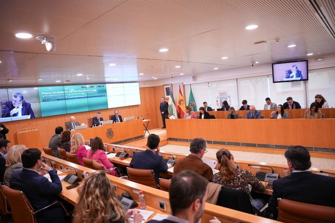 Pleno Diputación de Sevilla.