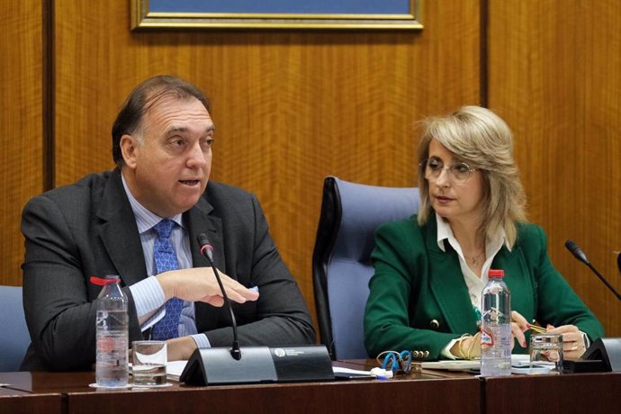 El consejero de Cultura, Arturo Bernal, durante la Comisión en el Parlamento autonómico.