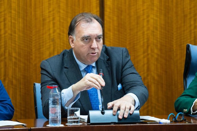 El consejero de Turismo, Cultura y Deporte de la Junta de Andalucía, Arturo Bernal, en la comisión parlamentaria 