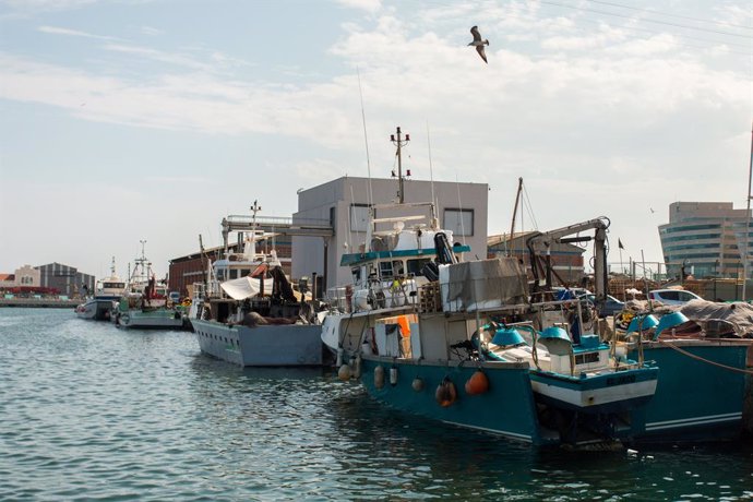 Imatge del Port de Barcelona