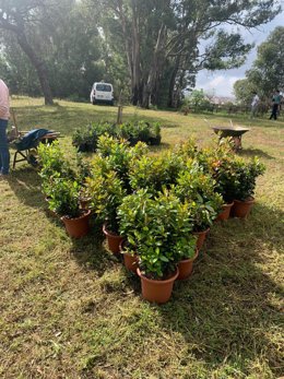 Jornada de reforestación en el Parque Moret de Huelva.