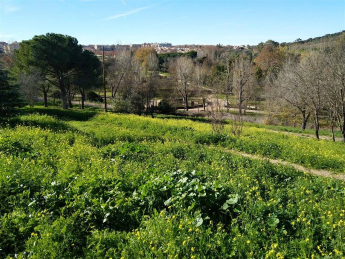 Archivo - Zona donde se va a ampliar el aparcamiento el Parque del Príncipe en Cáceres