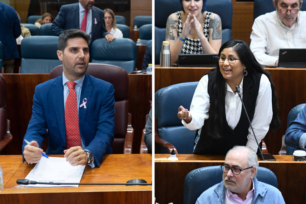 El consejero Emilio Viciana y la diputada de Más Madrid Diana Paredes Choquehuanca