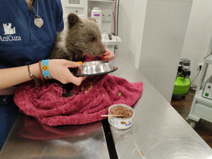 Esbardu rescatáu en Yernes y Tameza.