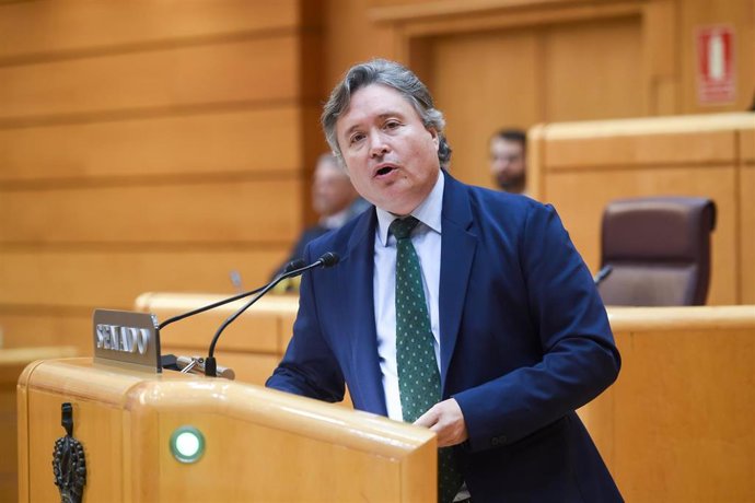 El senador del PP Luis Javier Santamaría, a 12 de marzo de 2024, en Madrid (España). 